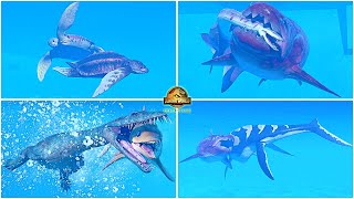 New Prehistoric Marine Species Pack All Animations amp Other Interactions 🦖 Jurassic World Evolution 2 [upl. by Stroud458]