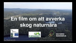 En film om att avverka skog naturnära [upl. by Navonod]