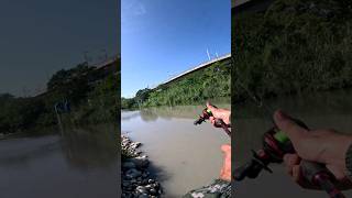 jangan lupa like dan subscribe fishing strikeking carpfishing [upl. by Alonso]