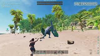 Easy Taming Pteranodon On Ark Survival Ascended [upl. by Drawde]