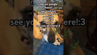 therian google meet therian googlemeet therianthropy [upl. by Cary152]