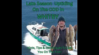 Uptide Cod Fishing In Whitby [upl. by Adnahsor62]