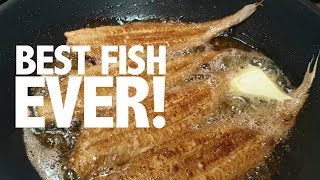 How to cook and prepare the perfect Dover sole  Classic a la meunière recipe [upl. by Earvin]