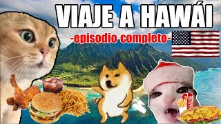 VIAJE A HAWÁI episodio completo meme de gatos [upl. by Anelav]