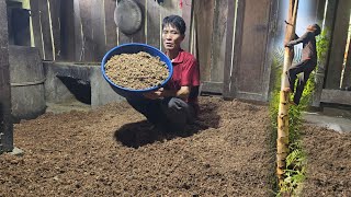 Process Of Brewing Wine From Trees Traditionally  Solo Survival [upl. by Ahsemac]