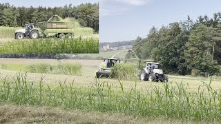 CLAAS Jaguar beim Hirse häckseln 🌾 [upl. by Zohara]