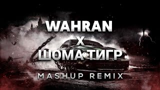 Randall Wahran x Asanrap Шома тигр  Wahran Russian Remix [upl. by Tiana935]