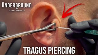 How To Get A Tragus Piercing 🔥 Cool Ear Piercing undergroundbodypiercing [upl. by Elgar203]