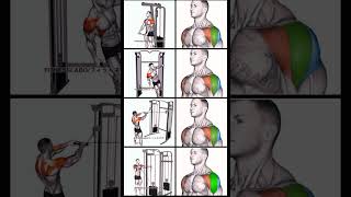 Shoulder Workout using Cable Machine [upl. by Ajar20]