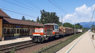 ÖBB 1163 019 komt met een houttrein door Villach Warmbad [upl. by Kinsley]