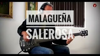 MALAGUEÑA SALEROSA  CHINGON Bass Cover vicglez [upl. by Cataldo]