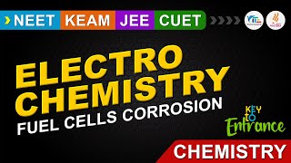 Electrochemistry Part 04 Plus two Chemistry [upl. by Ecnal653]