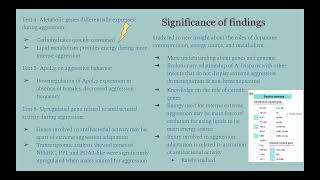 BIOL 250 Extreme Aggression Genome Study [upl. by Muhcon]