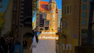 Autumn in Hamburg 🍂 iphone16 travel germany hamburg [upl. by Llenrep790]