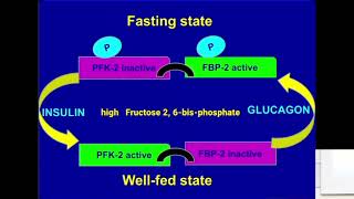 Glycolysis Allosteric Regulation of PFK1 Metabolism Made Easy [upl. by Skyla]