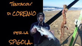 Surfcasting Tutorial esca ottima per la Spigola  TENTACOLI di COREANO [upl. by Salamanca]