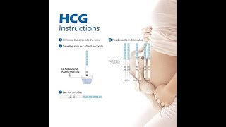 MomMed One Step Pregnancy HCG Test Strip Review [upl. by Mel929]