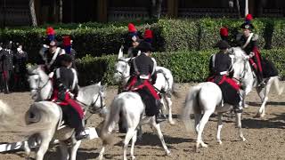 FestaArma2021 il Carosello Storico del 4° Reggimento Carabinieri a cavallo [upl. by Treborsemaj]