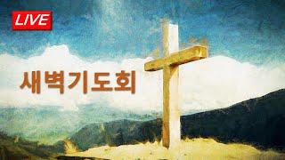 양평 금곡교회 12월0일 새벽기도회 quot포도원 농부 비유quot [upl. by Llohcin893]