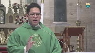 Cathedral Homilies  November 26 Fr Viel [upl. by Seldon]