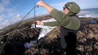 THE BLUFF 90 MILE BEACH West Coast Fishing [upl. by Hgielrak]