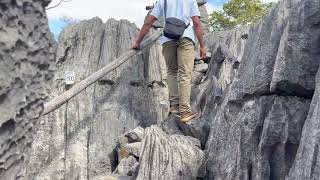 Ankarana National Park Madagascar [upl. by Frohman606]