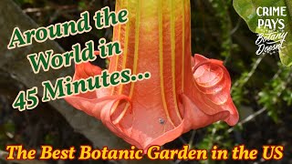 Around the World in 45 Minutes  The Best Botanic Garden in the US [upl. by Rossner]