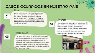 Salmonelosis Un riesgo oculto en los alimentos y como prevenirlo [upl. by Esele]