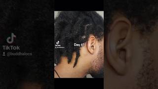 Loc Journey Day 61 🌟 1222024 locs starterlocs semifreeformlocs buddhalocs twostrandtwist [upl. by Fahland]