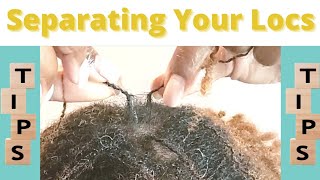 How To Properly Separate Your Locs When Overdue For Maintenance  Microlocs  Sisterlocs [upl. by Pratt394]