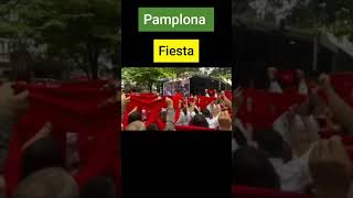 Pamplonas famous festival Sanfermin  Fiesta de Sanfermin en PamplonaSpain [upl. by Anyaled640]