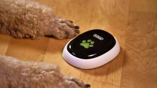 PetChatz® HD and PawCall® Never worry about you pet again Your pet can call you [upl. by Avehsile496]