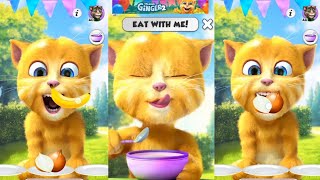 😹preview 2 original🤣klasky CSupo effects confusion talking Tom ginger 2 funny videos talking cats 🐒 [upl. by Chuu]