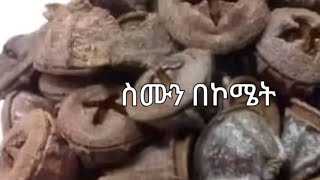 Hagere tube is liveይሄ ፍሬ ምን ይባላል [upl. by Hallett412]