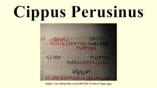 Cippus Perusinus [upl. by Yennep]