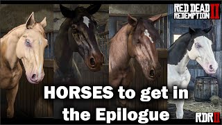 HORSES to get in the Epilogues in Red Dead Redemption 2  Unique coats and rare horse [upl. by Rhtaeh57]