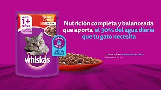 WHISKAS® SOBRES Nutrición Completa y balanceada [upl. by Chatwin]