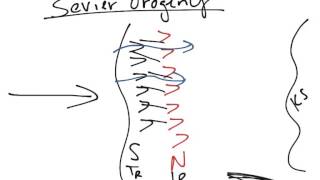 Historical Geology Mesozoic Sevier Orogeny [upl. by Bridge]