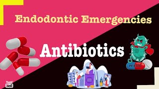 5 Antibiotics in Endodontic Emergencies [upl. by Maddock871]