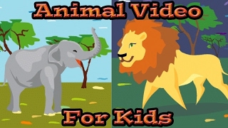 Animals for KIDS  Learn Animal Sounds  Kids Learning Videos [upl. by Aikimat793]