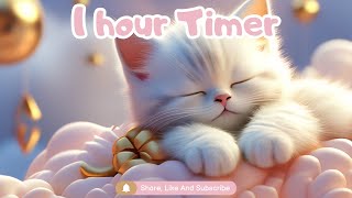 1 Hour Countdown Timer for Kids with Relaxing Sleep Music ClassroomSleeping time Play time [upl. by Enreval]