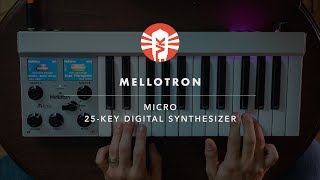 Mellotron Micro  Synthesizer  Vintage King [upl. by Karon]