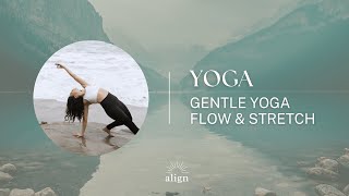 Gentle Yoga Flow amp Stretch [upl. by Stav126]