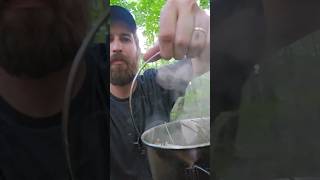 Making a pain relieving and anti inflammatory tea from willow bark [upl. by Bill]