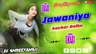 Jawaniya Aachar Dalbu Bhojpuri weeding dj songbhojpuri song new dj Shreeyans11 [upl. by Nicholle456]