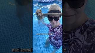 Oatmeal wants my ball 😭 PoolTime SwimmingDog goldenretriever [upl. by Alusru]