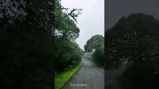 Mahabaleshwar in Monsoon 🤩 shorts mahabaleshwar maharashtra travel [upl. by Uol899]