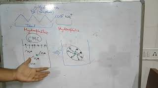 what is micelle and factor affecting the Micelle formation [upl. by Doloritas]