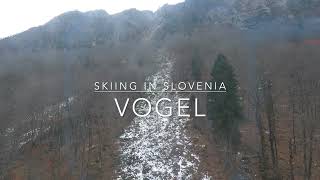 Vogel Skiing Christmas 2023 [upl. by Hamaso]