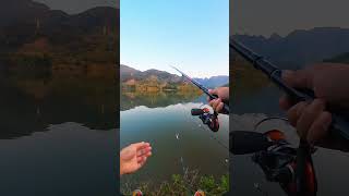 Go Fishing MT Fishing fishing fishingvideo mtfishing [upl. by Janos]